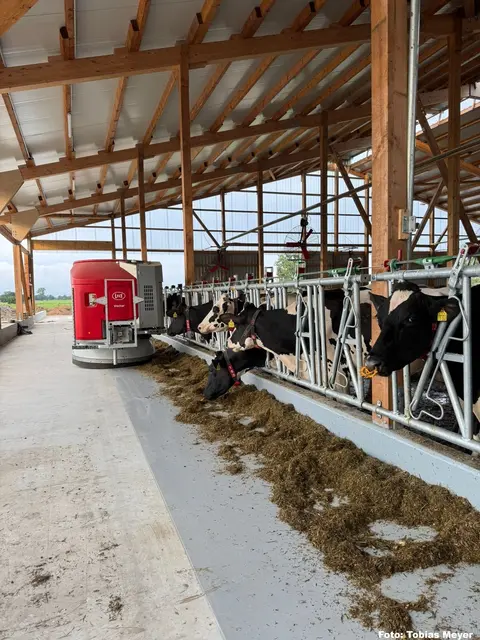 Ein Blick hinter die Kulissen moderner Landwirtschaft: Beim Aktionstag auf dem Hof Meyer können Besucher bei Stallführungen erleben, wie ein moderner Milchviehbetrieb arbeitet | Foto: Hof Meyer 