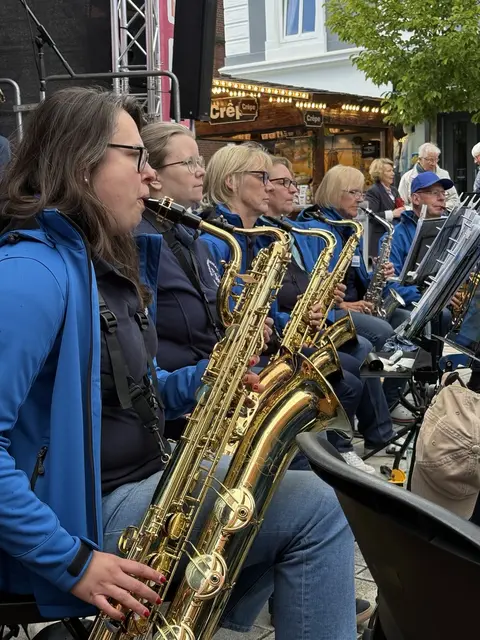 Die Saxophonspieler des Stadtorchesters mit ihren imposanten Instrumenten. | Foto: Stadtorchester Winsen