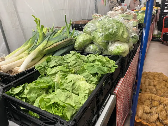 Frisches Obst und Gemüse gehört zu einer ausgewogenen Ernährung  | Foto: sra