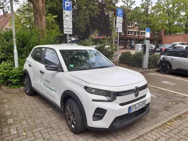 Dorfstromer Fahrzeug | Foto: Stadt Buchholz