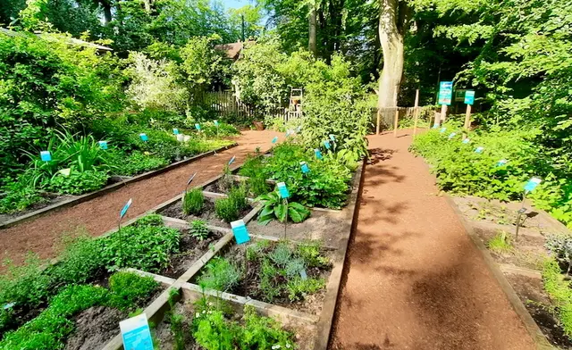 Kräutergarten im Barfußpark  | Foto: Barfußpark 