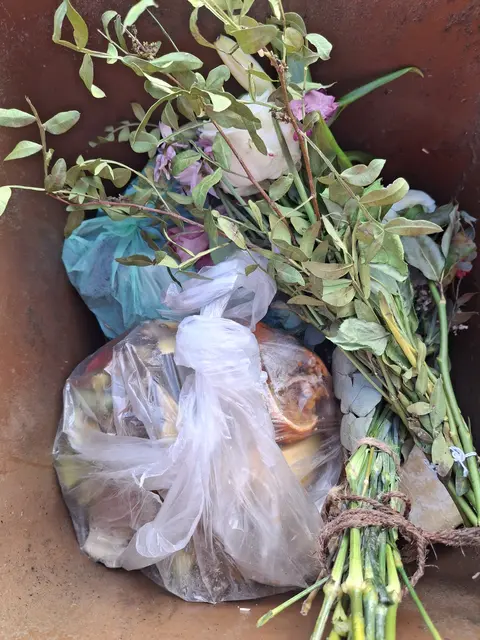 Plastik gehört nicht in den Biomüll | Foto:  Landkreis Stade / Abfallberatung
