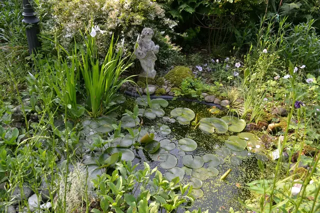 Impressionen aus Hardys Garten | Foto: bim