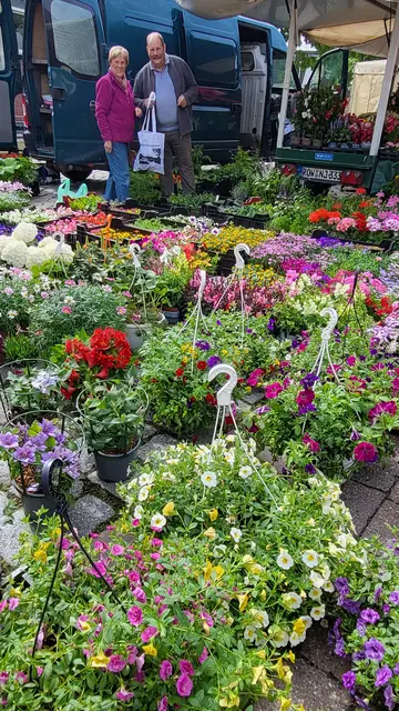Norbert Jörs begeistert die Kunden des Wochenmarktes immer mit einer bunten Blumenpracht | Foto: sh