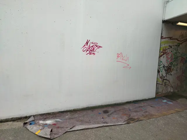 Einige Tage nachdem die alten Graffitis überstrichen wurden, gab es bereits neue "Tags" | Foto: Leon Strumberger