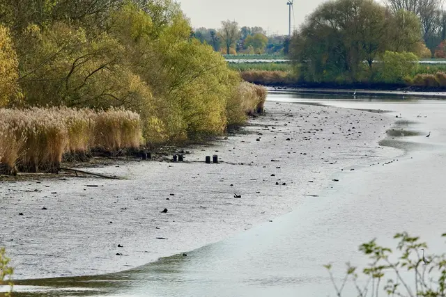 Sedimente lassen die Binnenelbe schrumpfen | Foto: Bernd Sänger