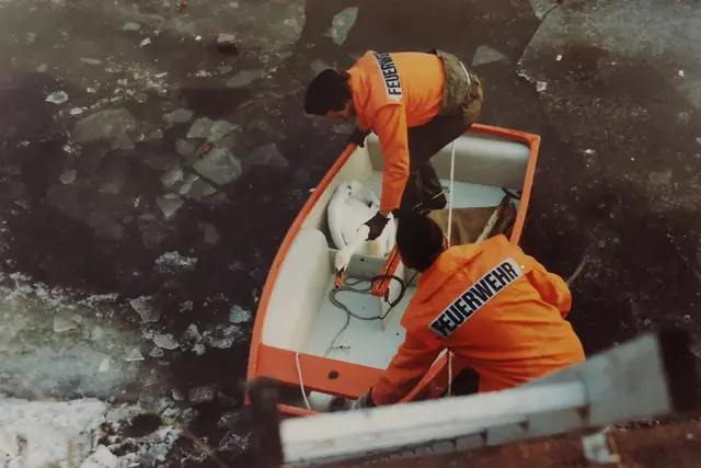 Eine Schwanenrettung aus dem Jahr 1984 | Foto: Ortsfeuerwehr Borstel
