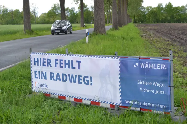 Die K23 in Königsmoor ist auf einem langen Abschnitt von Bäumen umsäumt mit angrenzenden Feldern, die Kranichen als Rastplätze dienen | Foto: bim