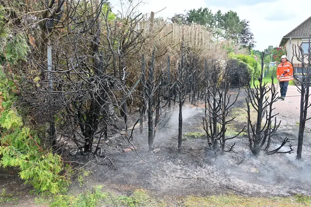 Das Feuer zerstörte rund 20 Meter Hecke und einen Holzzaun | Foto: Mathias Wille
