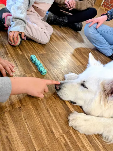 Spielerisch Vertrauen aufbauen: Die Supportdogs fördern den Umgang von Kindern mit Hunden | Foto: Gabriele Staatz-Duckert