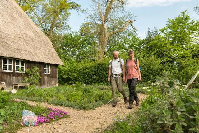 Wandern entlang des Heidschnuckenwegs ist bei vielen Einheimischen und Touristen sehr beliebt | Foto: HSW_Bispingen_Wilsede