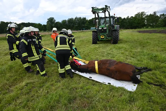 Das Pferd wurde von der Feuerwehr aus dem Morast gehoben und auf einer speziellen Gleitplatte der Brandschützer abgelegt | Foto: Mathias Wille