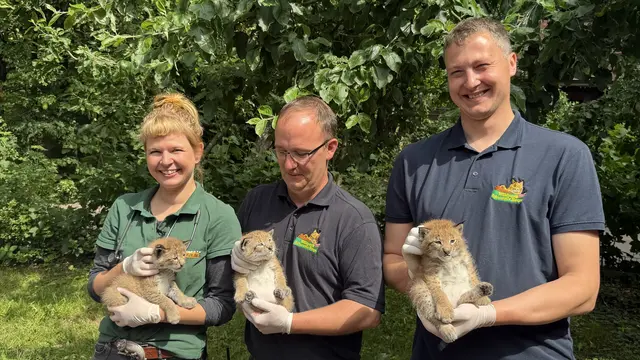 Das Team mit dem Luchs-Nachwuchs | Foto: tml