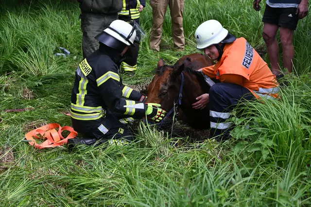 Die Feuerwehrleute kümmerten sich um das im Morast versunkene Pferd | Foto: Mathias Wille
