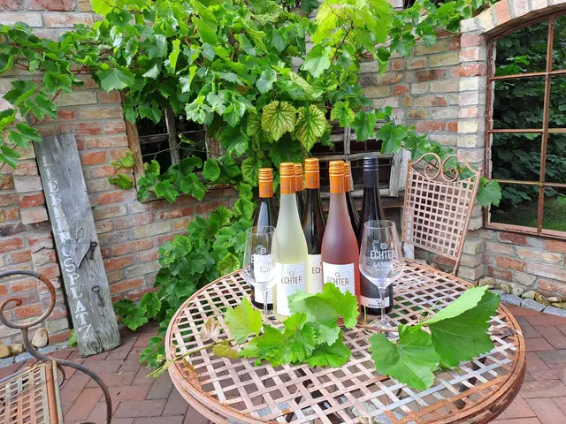 Mehrere Weinhändler aus unterschiedlichen Anbaugebieten sind vor Ort | Foto: Rainer Schnackenberg