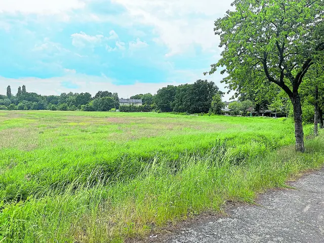 Bisher landwirtschaftliche Fläche: das geplante Wohnungsbaugebiet "Maschen 59" | Foto: sra