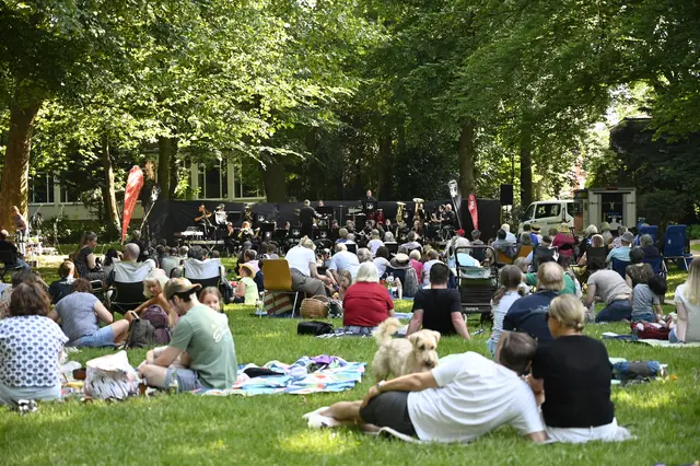 Picknick-Konzert 2025