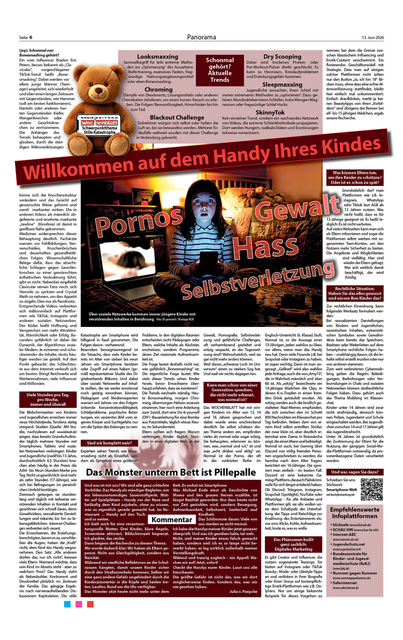 Artikel WOCHENBLATT KW 24-2026, S. 6 | Foto: MSR 