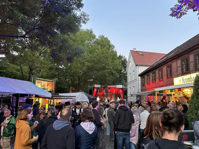 Auf vier Bühnen in der Buxtehuder Altstadt wird gefeiert | Foto: pau