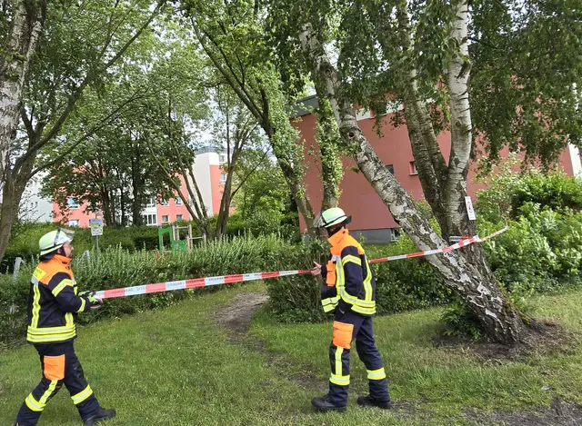 Die Feuerwehr sperrte den Bereich um den gefährdeten Baum | Foto: Feuerwehr Seevetal