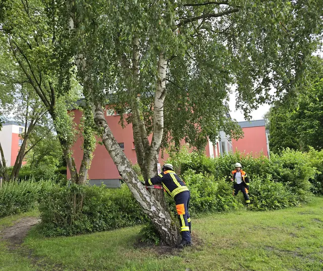 Da der Baum auf privatem Grund steht, muss der Eigentümer den Baum sichern | Foto: Feuerwehr Seevetal