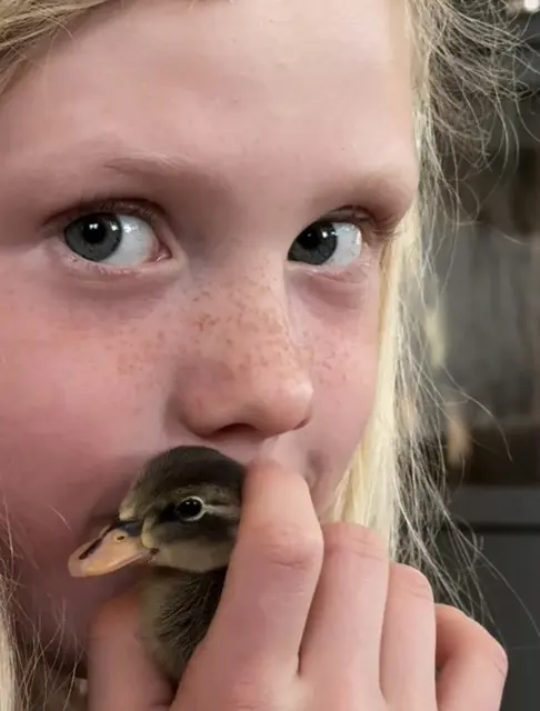 Elena Steins´Sohn Felix mit einem Laufenten-Küken | Foto: Elena Stein