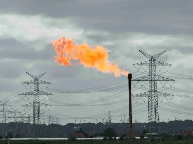 Der Gasnetzbetreiber ließ das Erdgas kontrolliert abfackeln | Foto: Andre Hellwig