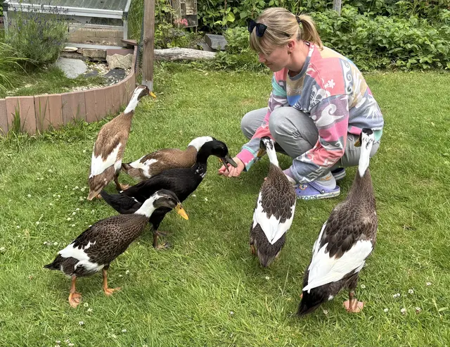 Elena Stein mit ihren Laufenten | Foto: sts