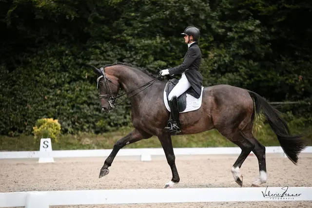 Kathrin Knirsch startet für den Reit- und Fahrsport Sieversen in den höheren Prüfungen | Foto: Valerie Jenner