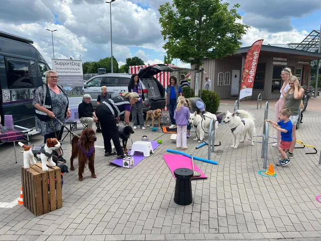 Die SupportDogs und ihre ehrenamtlichen Begleiter informierten in Hittfeld über ihre Arbeit und kamen mit zahlreichen Besuchern ins Gespräch | Foto: Sven Rathert