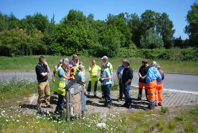 Das Bauhof-Training ist Teil des Projekts „Mehr Arten im Garten“ des BUND Niedersachsen | Foto: Stadt Buxtehude 