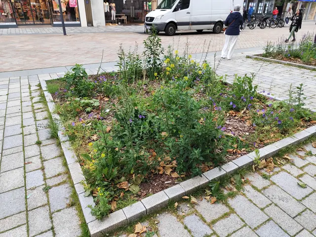 Vor lauter Unkraut kaum noch Blumen zu erkennen. | Foto: Rüdiger Störtebecker