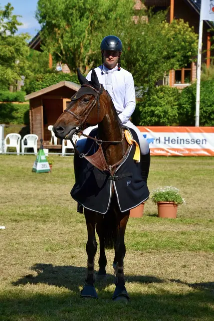 Thies Johannsen (RFV Estetal) mit It's Mylord