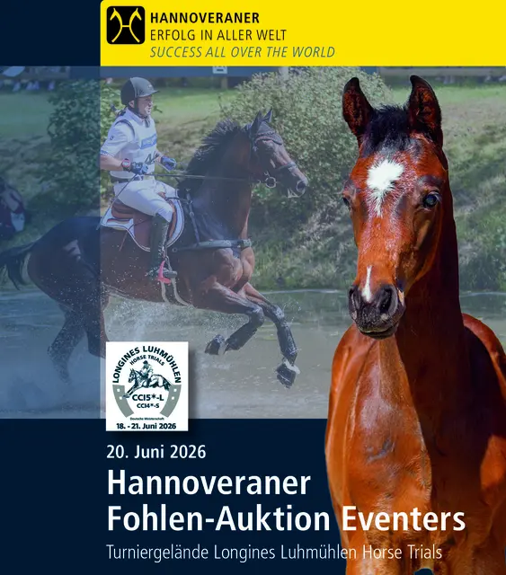 Foto: Hannoveraner Verband