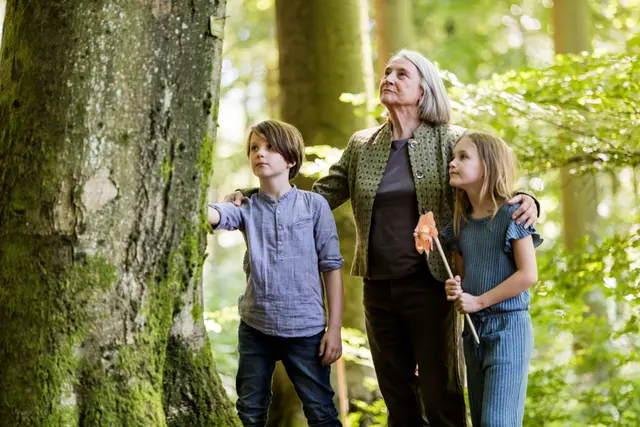 In Zeiten der Trauer spendet die Natur Trost | Foto: FriedWald GmbH