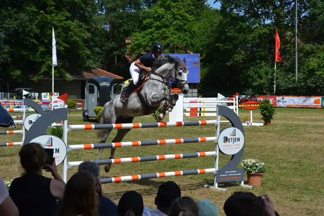 Beste Springreiterin des Turniers: Greta Funke-Ligthart (RG Dangast)
