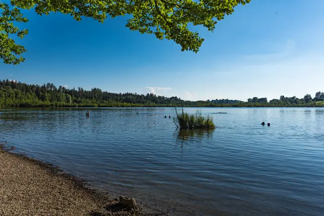 Zwei Männer ziehen einen Senior aus einem See und beginnen mit der Reanimation | Foto:  driendl/Adobe Stock