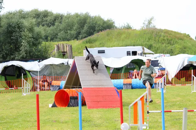 Kerstin Reinhardt mit Hündin Aleu auf der A-Wand  | Foto: SV OG Jork