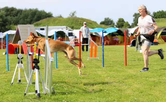Christina Lohmann-Henze mit ihrer Hündin Lilli im Finish | Foto: SV OG Jork