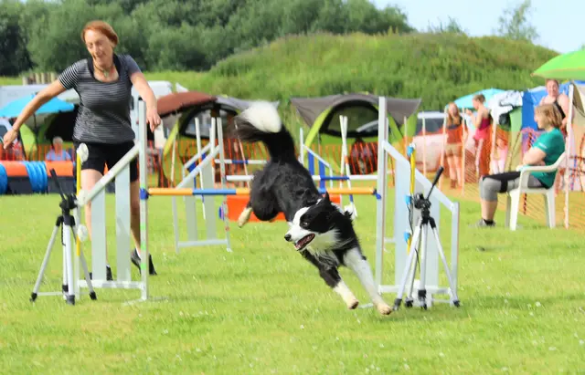 Susanne Mestmäcker mit ihrem Border Collie Kalle | Foto: SV OG Jork