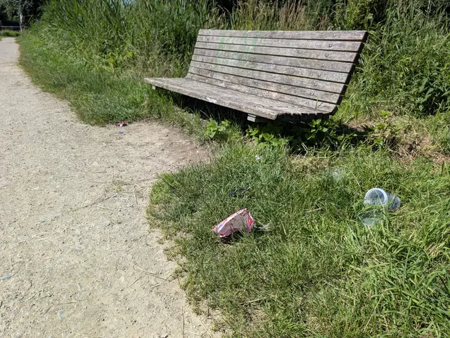 Unnötig und ärgerlich: Dieser Müll liegt neben einer Parkbank direkt am Ufer der Luhe | Foto: Jan Filter