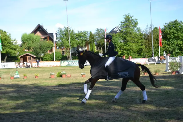 Beke Tomforde (RFV Engelschoff) mit Exclusiva 