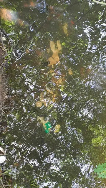 Abfälle auf dem Grund der Luhe - für die Tierwelt an und im Fluss alles andere als gesund | Foto: Jana Grizmann