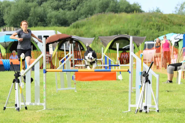 Susanne Mestmäcker mit ihrem Border Collie Kalle | Foto: SV OG Jork