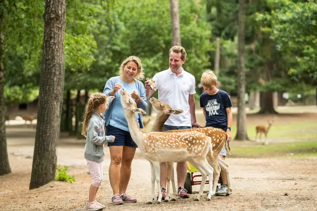 Für Familien das ideale Ausflusgziel - die Wildparks in der Region  | Foto: Lübeburger Heide GmbH, D. Ketz