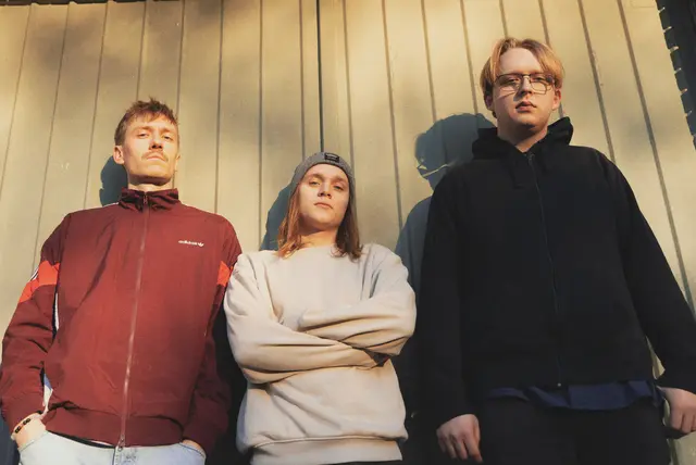 Die Band "Three Beetles Around" | Foto: Three Beetles Around