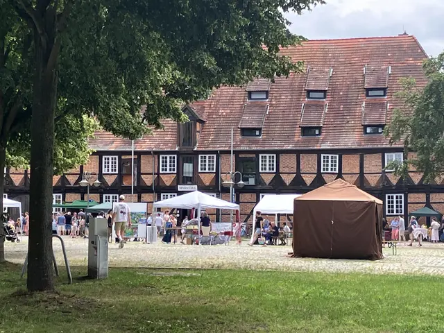 Der Schlossplatz bildet den Mittelpunkt beim Winsener Märchenfestival - ringsum finden diverse Aufführungen statt | Foto: Ilona Johannsen