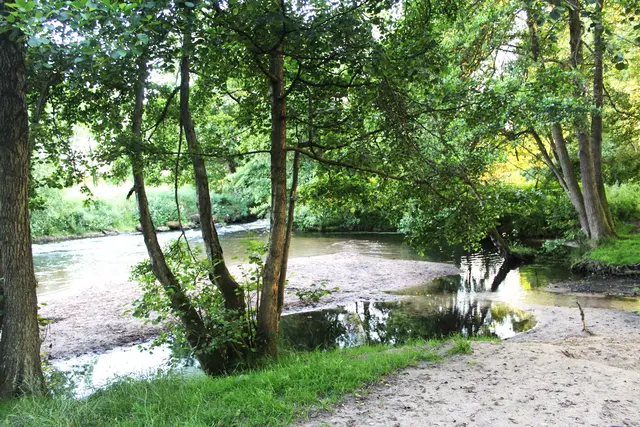Badestelle an der Seeve am Bendestorfer Wehr | Foto: Julia Paepcke
