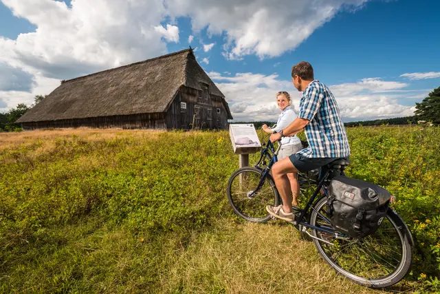 Ein schier unendlich erscheinendes Rad- Wander- und Reitwegenetz ist das Herzstück der Heide  | Foto: Lüneburger Heide GmbH, D. Ketz