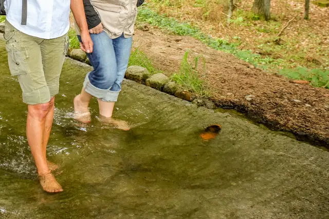 Naturerfahrung im Barfußpark  | Foto: Lüneburger Heide GmbH, Ulrich von den Bruch